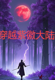  穿越紫徽大陆